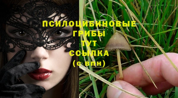 МДПВ Корсаков