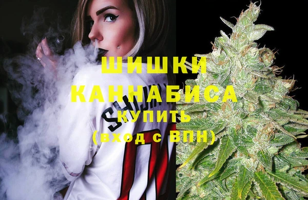 твердый Нестеровская