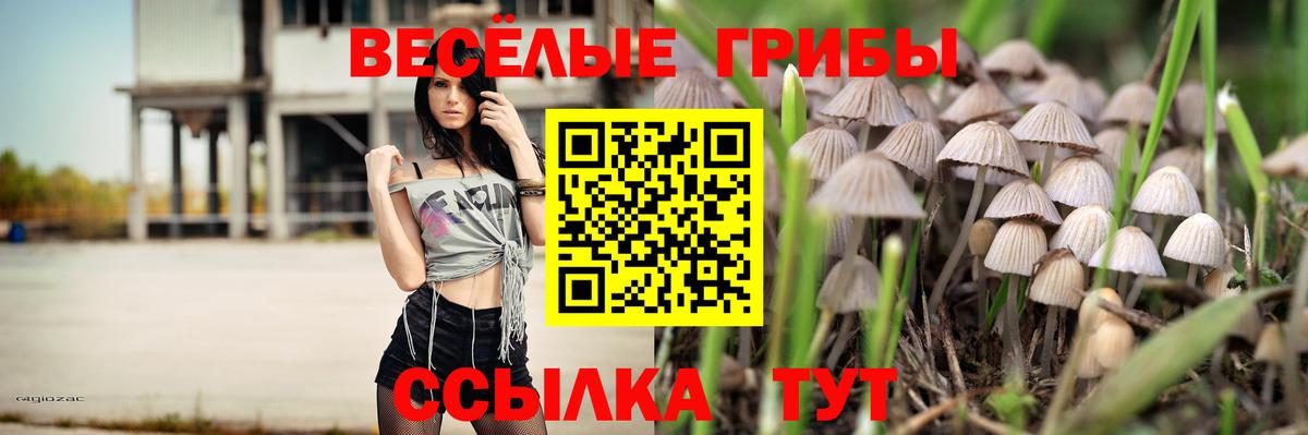 Галлюциногенные грибы прущие грибы Серпухов